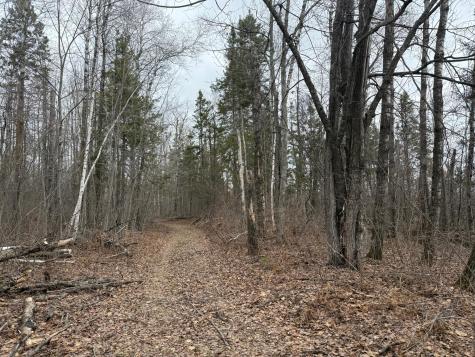 61613 Park Hills Road Bruno MN 55712