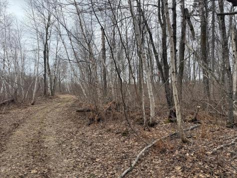61613 Park Hills Road Bruno MN 55712