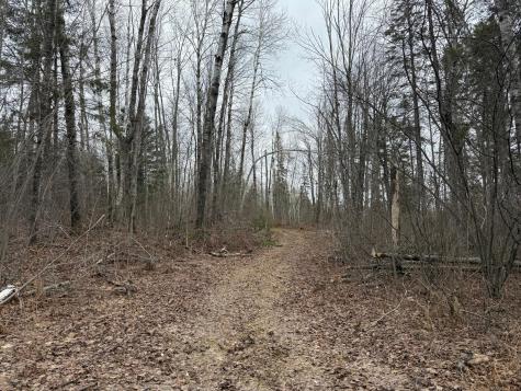 61613 Park Hills Road Bruno MN 55712
