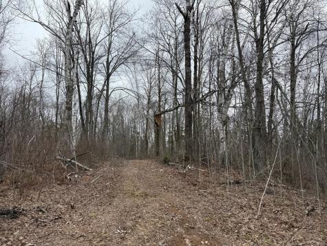 61613 Park Hills Road Bruno MN 55712