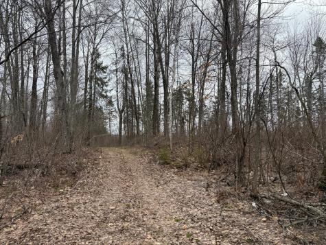 61613 Park Hills Road Bruno MN 55712