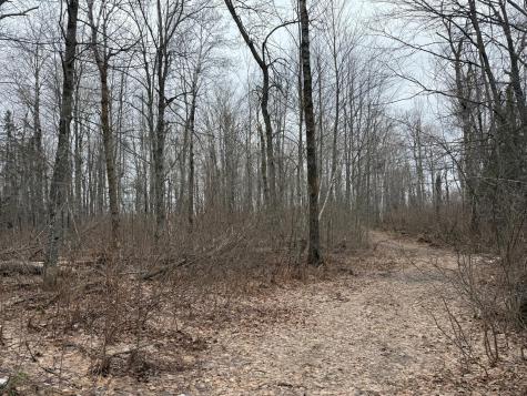 61613 Park Hills Road Bruno MN 55712