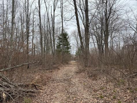 61613 Park Hills Road Bruno MN 55712