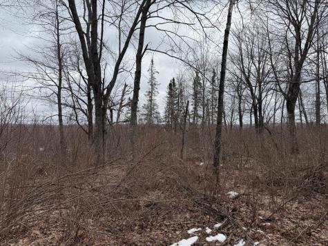 61613 Park Hills Road Bruno MN 55712