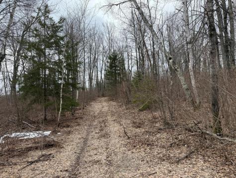 61613 Park Hills Road Bruno MN 55712