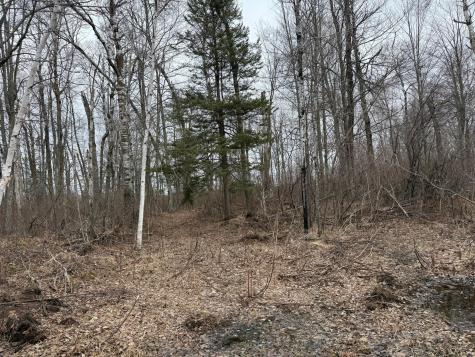 61613 Park Hills Road Bruno MN 55712