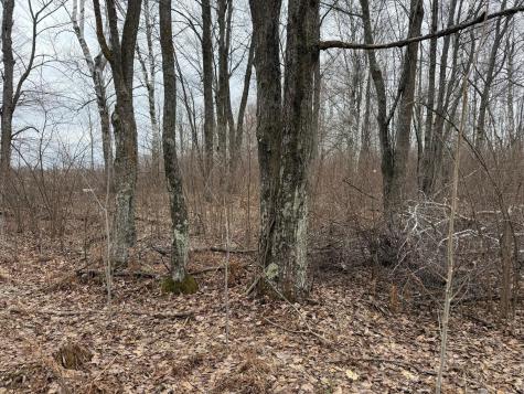61613 Park Hills Road Bruno MN 55712