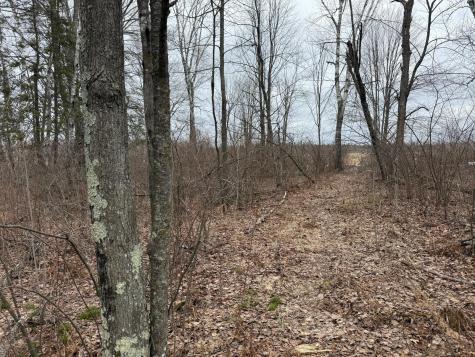 61613 Park Hills Road Bruno MN 55712