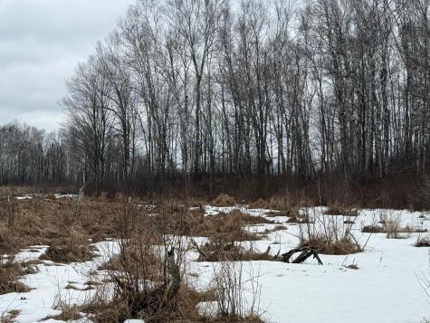 61613 Park Hills Road Bruno MN 55712
