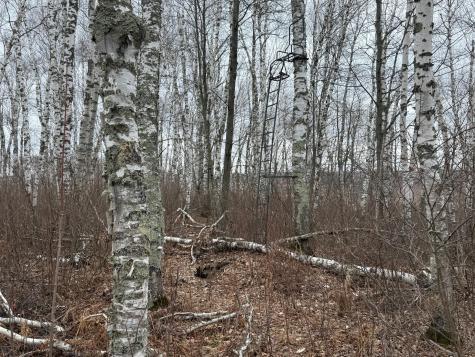 61613 Park Hills Road Bruno MN 55712