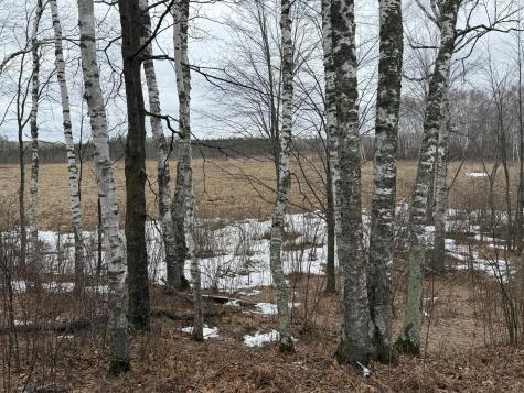 61613 Park Hills Road Bruno MN 55712