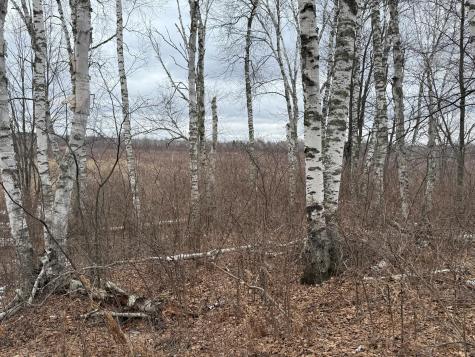 61613 Park Hills Road Bruno MN 55712
