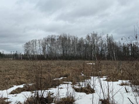 61613 Park Hills Road Bruno MN 55712