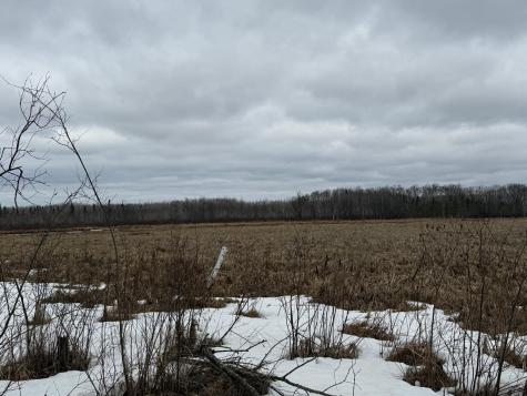 61613 Park Hills Road Bruno MN 55712