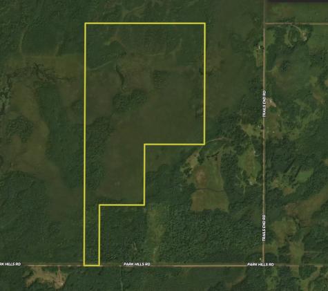 61613 Park Hills Road Bruno MN 55712