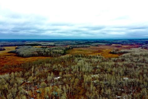61613 Park Hills Road Bruno MN 55712