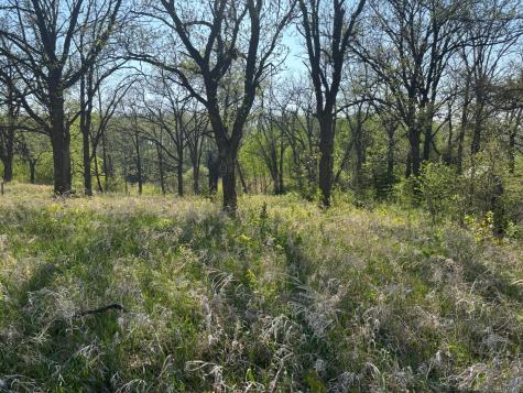 TBD1 Abby Lane NW Ida Twp MN 56308