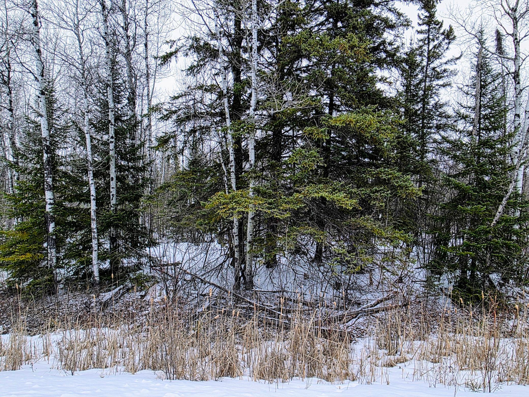 Tbd County Road 91 International Falls MN 56649