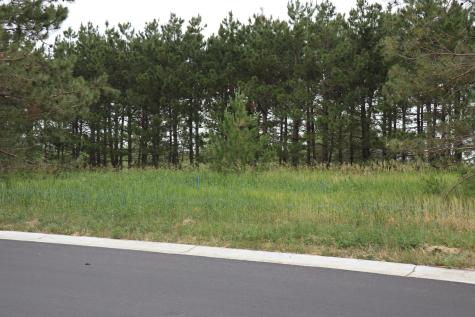 1965 Long Pine Drive Detroit Lakes MN 56501