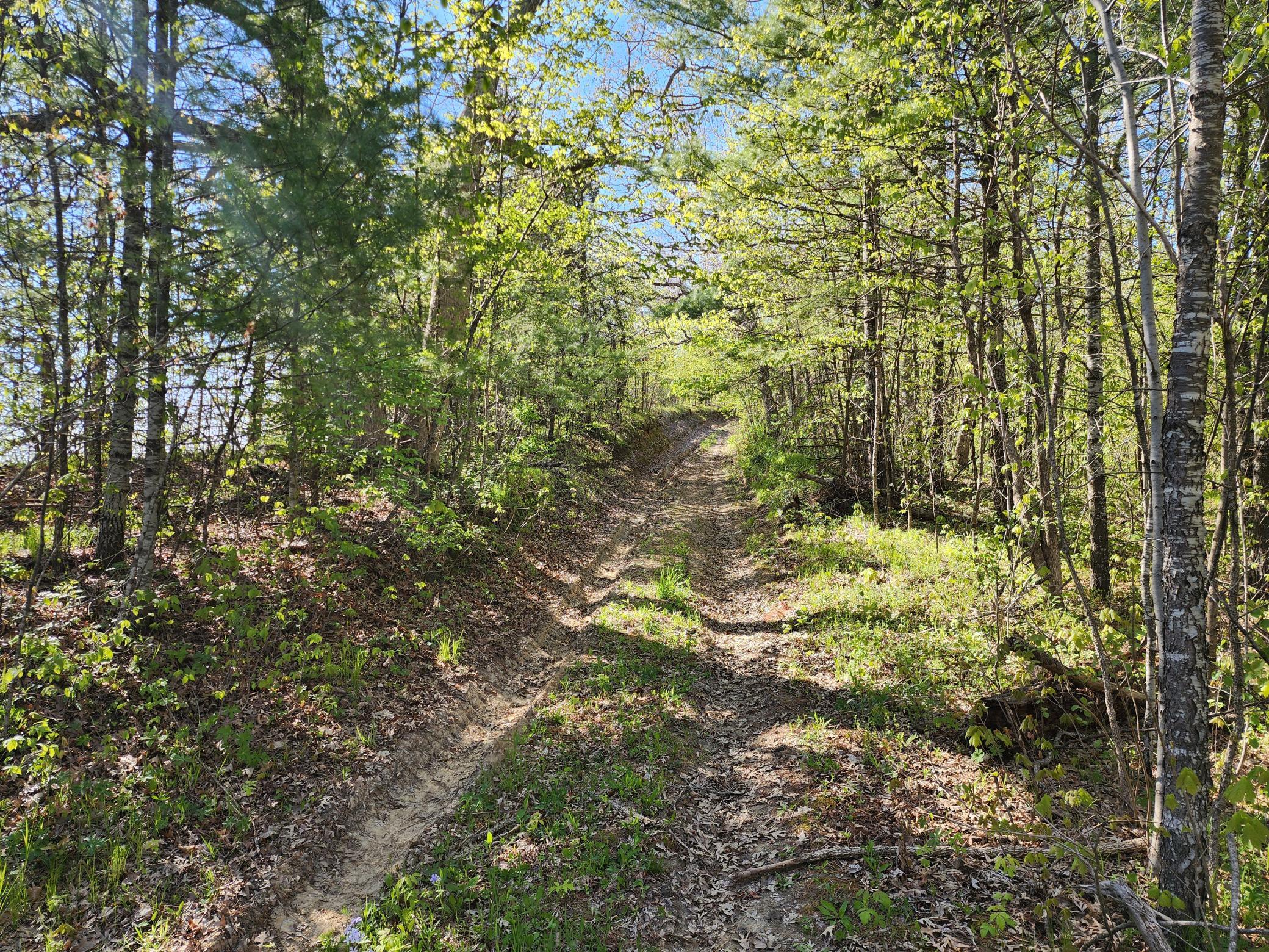 Tbd County Road 1 SE Pleasant Grove Twp MN 55976