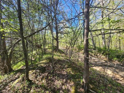 Tbd County Road 1 SE Pleasant Grove Twp MN 55976