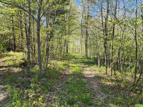 Tbd County Road 1 SE Pleasant Grove Twp MN 55976