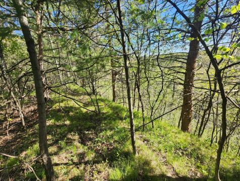Tbd County Road 1 SE Pleasant Grove Twp MN 55976