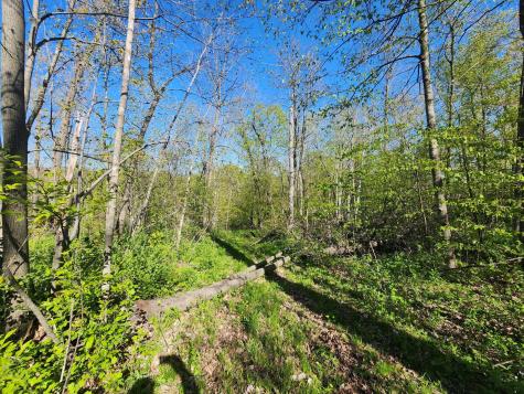 Tbd County Road 1 SE Pleasant Grove Twp MN 55976