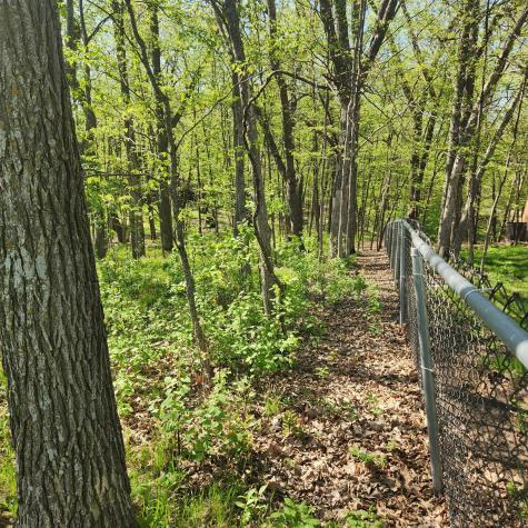 Tbd Knollwood Lane Pelican Rapids MN 56572