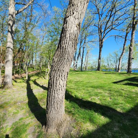 Tbd Knollwood Lane Pelican Rapids MN 56572