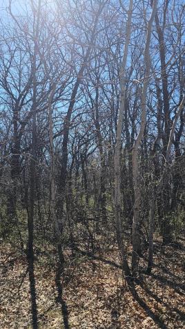 Tbd 57th Street SE Saint Cloud MN 56304