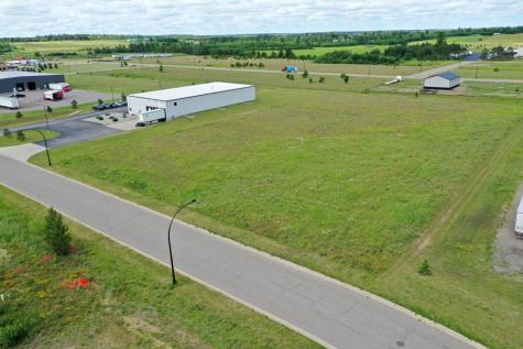 Tbd Cram Avenue SE Bemidji MN 56601