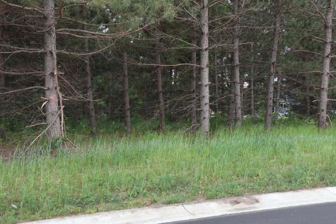 1933 Long Pine Drive Detroit Lakes MN 56501