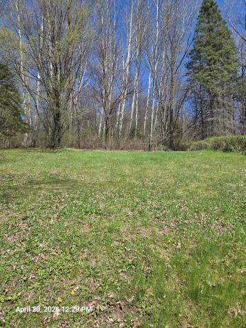 315 Oak Drive NW Preston MN 55965