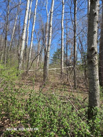 315 Oak Drive NW Preston MN 55965