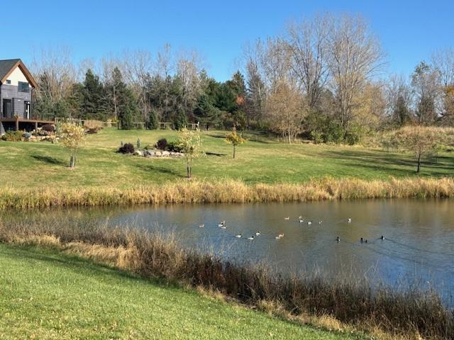 2906 Serenity Lane NE Rochester MN 55906