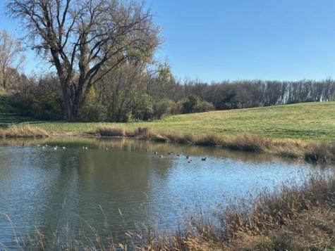 2906 Serenity Lane NE Rochester MN 55906