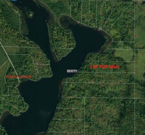 4251 North Arm E Cook MN 55723