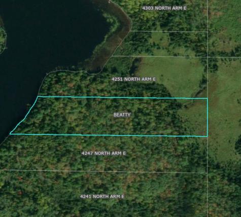 4251 North Arm E Cook MN 55723