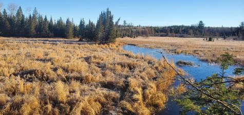 4251 North Arm E Cook MN 55723