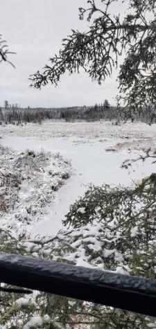 4251 North Arm E Cook MN 55723