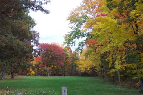 Xxx N Basswood Drive (Lot 313) Siren WI 54893