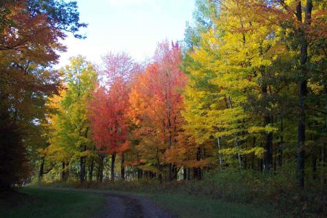 Xxx N Basswood Drive (Lot 313) Siren WI 54893