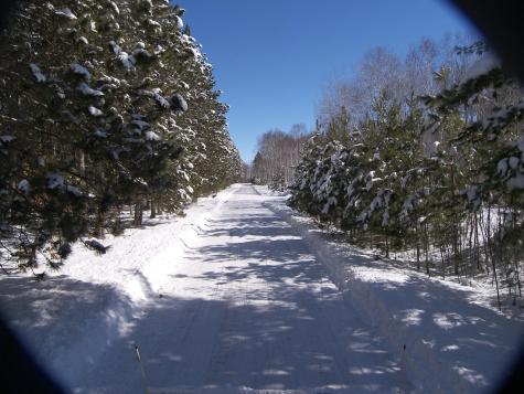 Xxx N Basswood Drive (Lot 313) Siren WI 54893