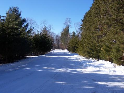 Xxx N Basswood Drive (Lot 313) Siren WI 54893
