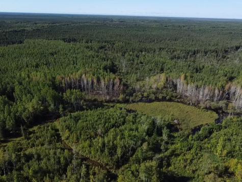 6566 County Road 77 Littlefork MN 56653