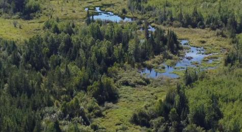 6566 County Road 77 Littlefork MN 56653