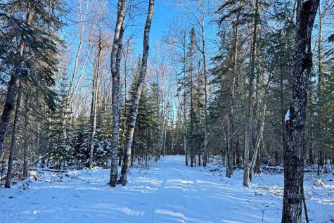 26810 N Hart Lake Road Pengilly MN 55775