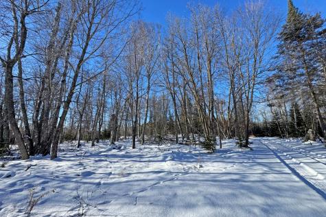 26810 N Hart Lake Road Pengilly MN 55775