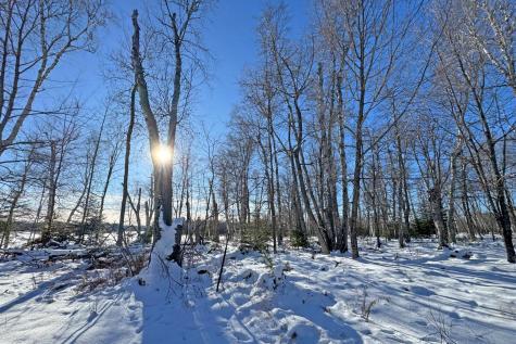 26810 N Hart Lake Road Pengilly MN 55775